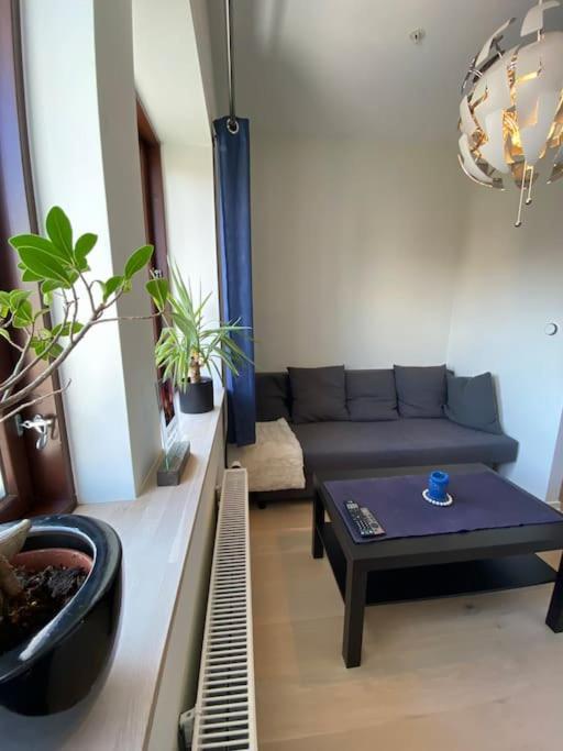 Moderne Leilighet Midt I Sentrum Av เฟรดริคสตา ภายนอก รูปภาพ